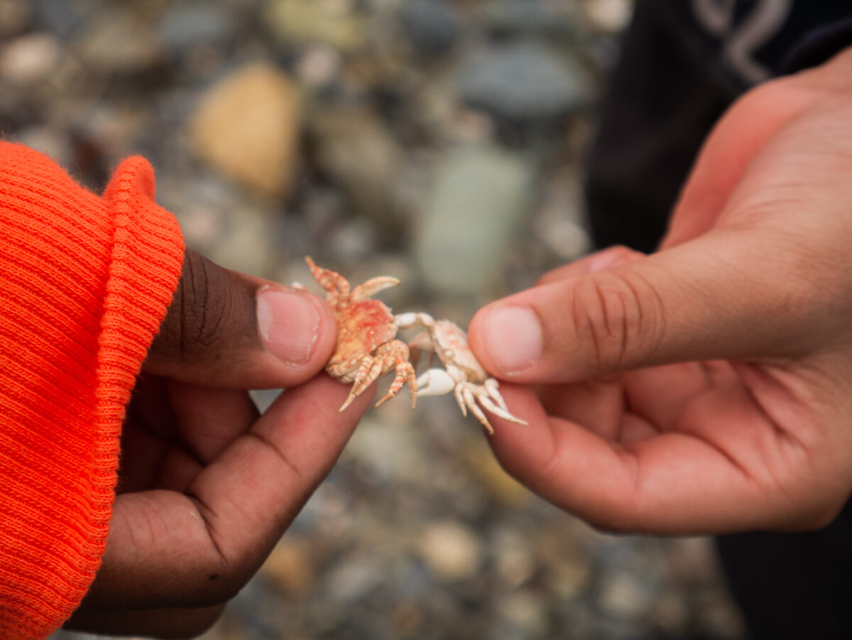 Camper holding crabs